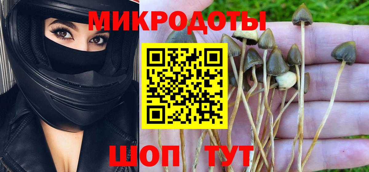 Псилоцибиновые грибы ЛСД Щёлково
